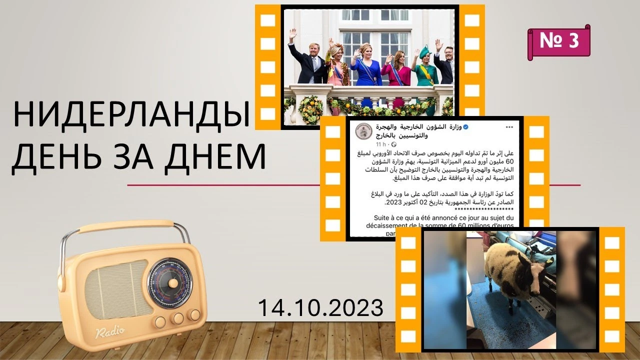Чи можуть Нідерланди скасувати монархію: передвиборча пропозиція та політичний контекст