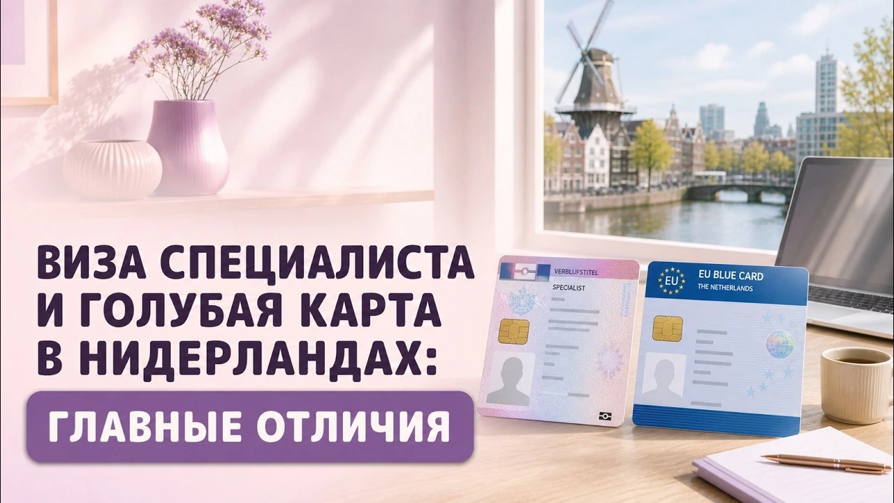 Висококваліфікований мігрант чи Блакитна карта ЄС: як відрізняються робочі дозволи в Нідерландах