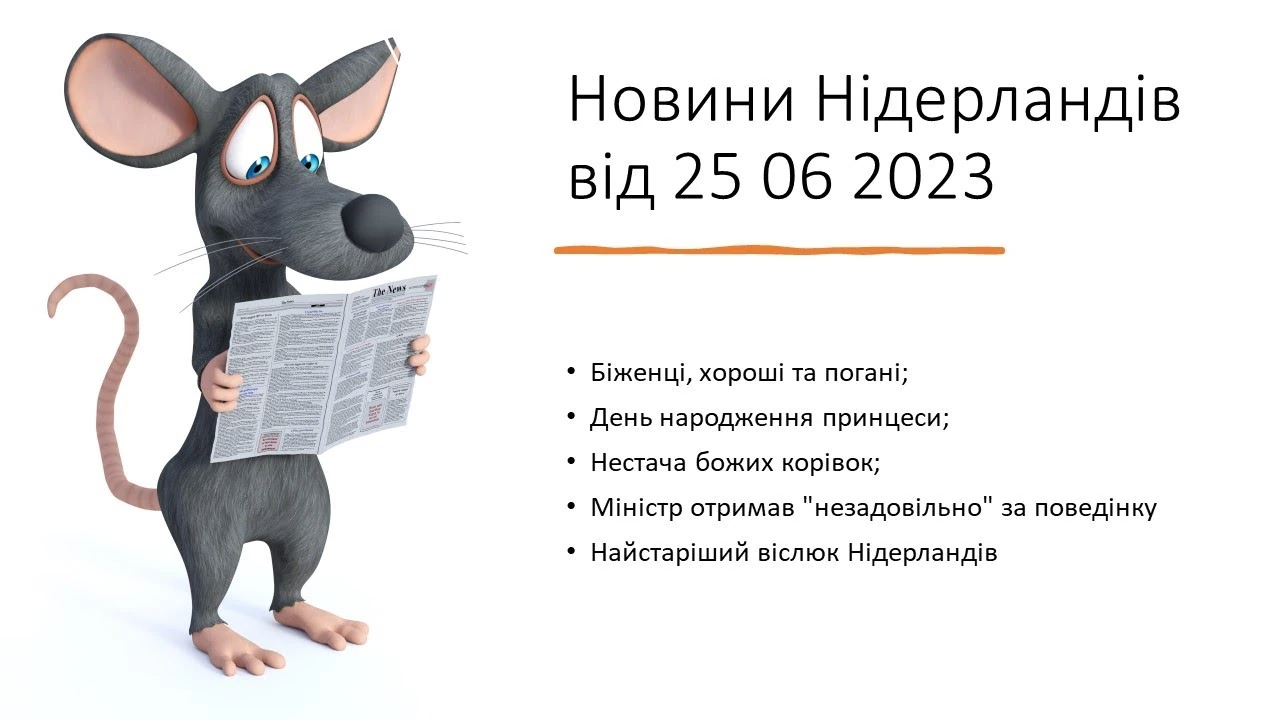 Нідерланди в червні 2023 року: біженці, робота для українців і зміни всередині країни