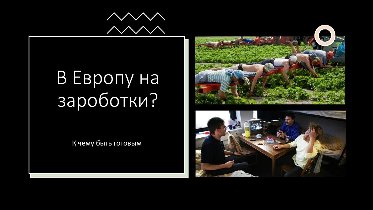 Робота через агентство в Нідерландах: як не опинитися без документів, страховки та житла