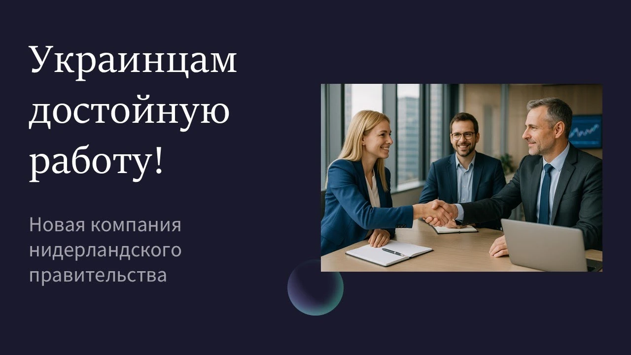 Від першої роботи до свого місця: як українцям розвиватися на ринку праці Нідерландів