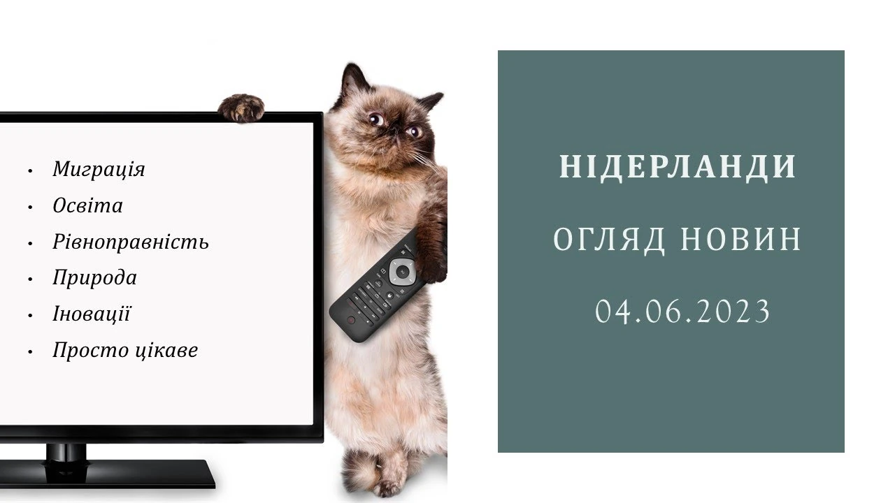 Добровільні внески у школах: чи справді всі діти мають рівні можливості