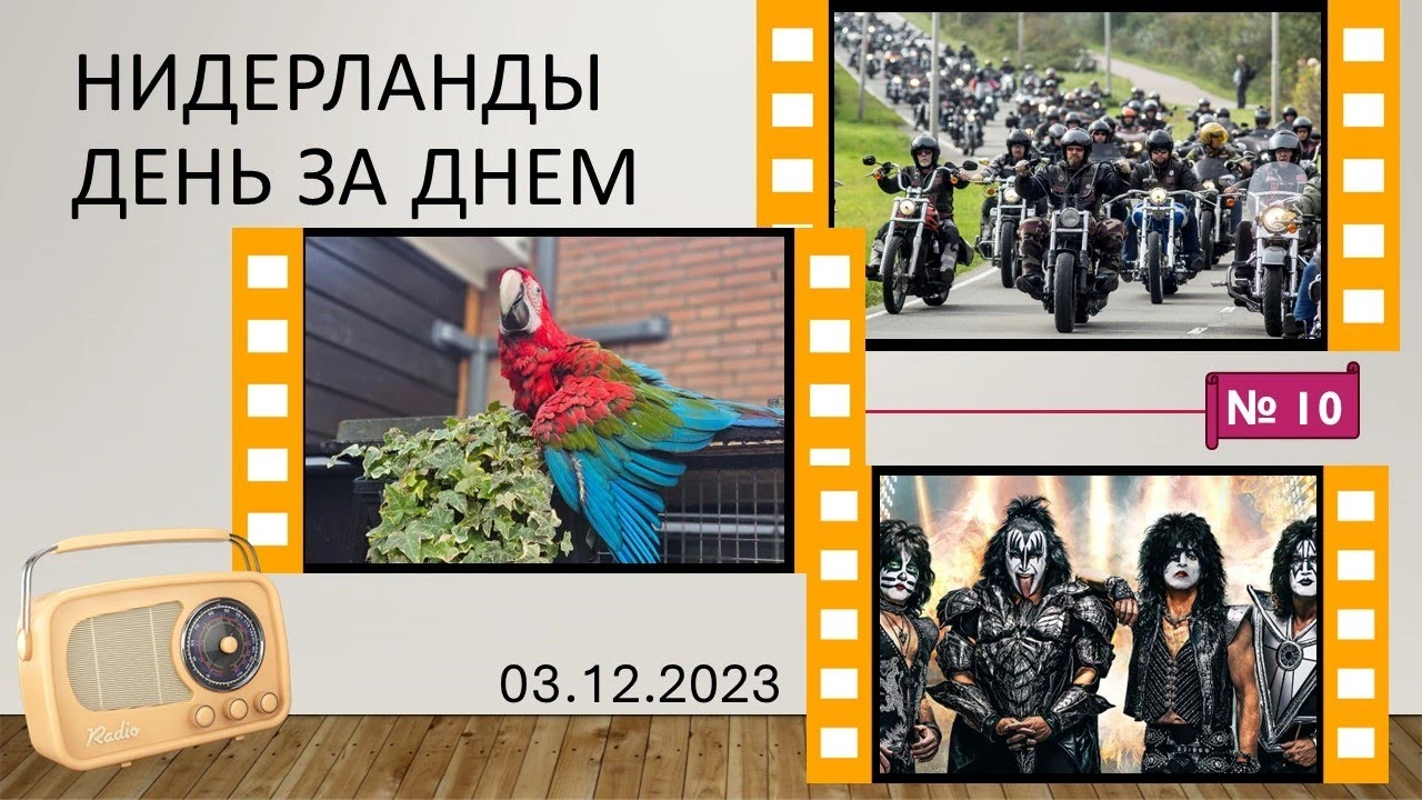Повсякденне життя в Нідерландах і сусідніх країнах: ціни, страхування, житло та нові обмеження