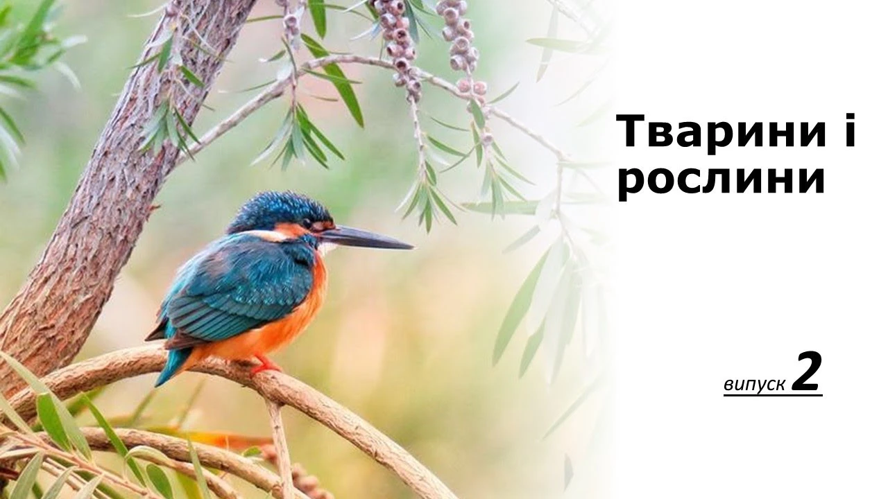 Як три гектари землі перетворилися на природний парк