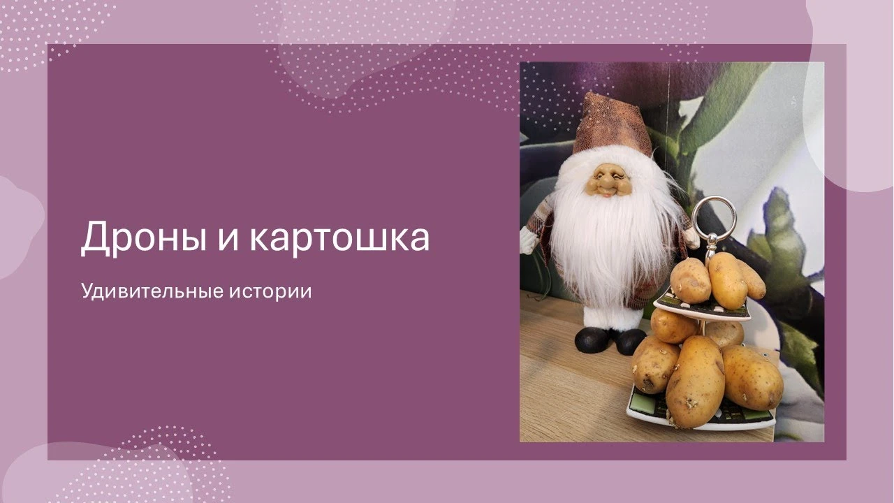 Як фермер перетворив поле на дронопорт і навіщо сільському господарству точні технології
