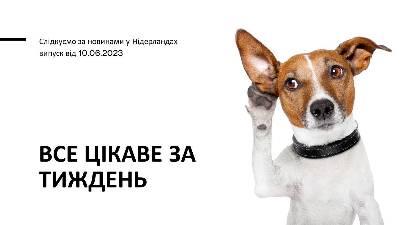 Нідерланди у червні 2023 року: міграція, борги, житло та зміни в містах