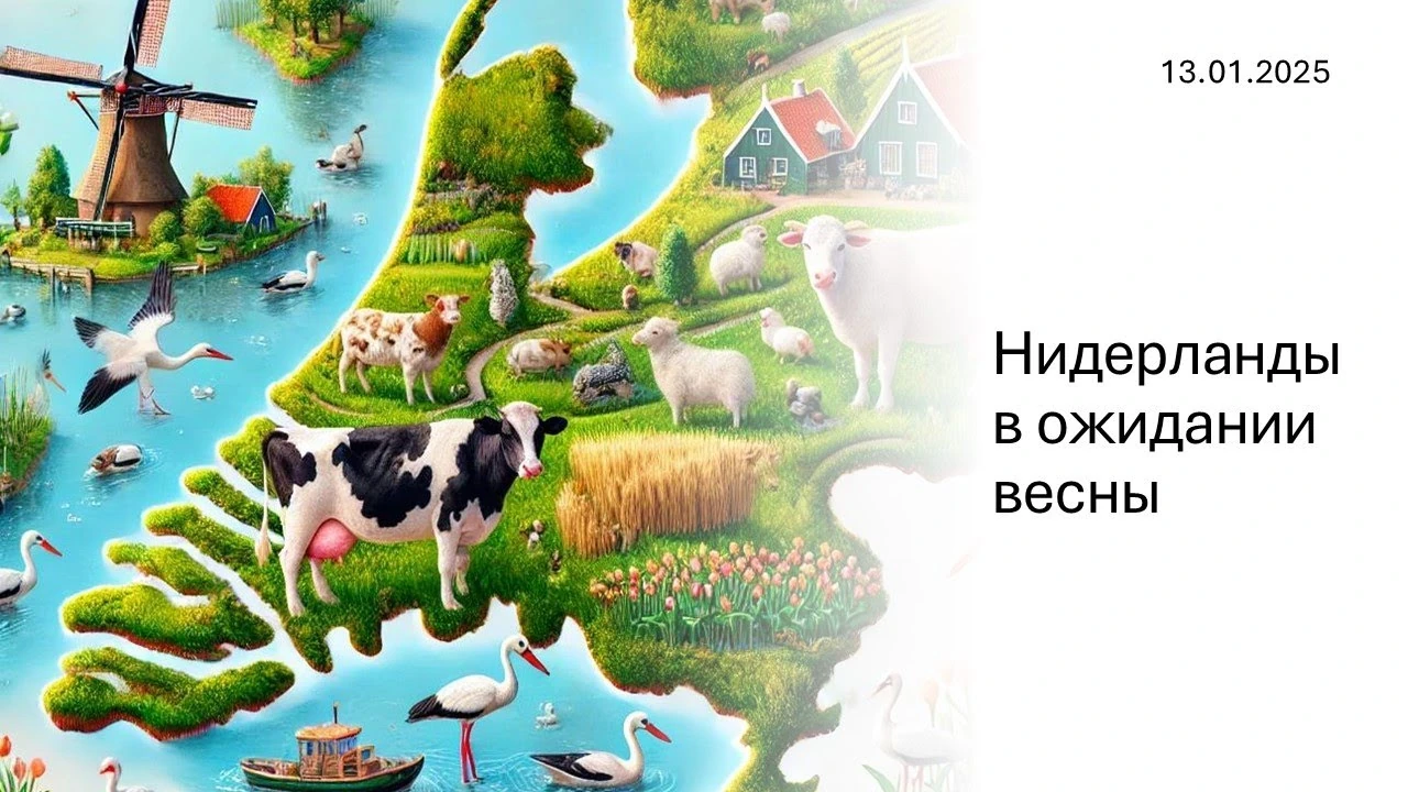 Національний підрахунок садових птахів у Нідерландах: як долучитися і навіщо це потрібно